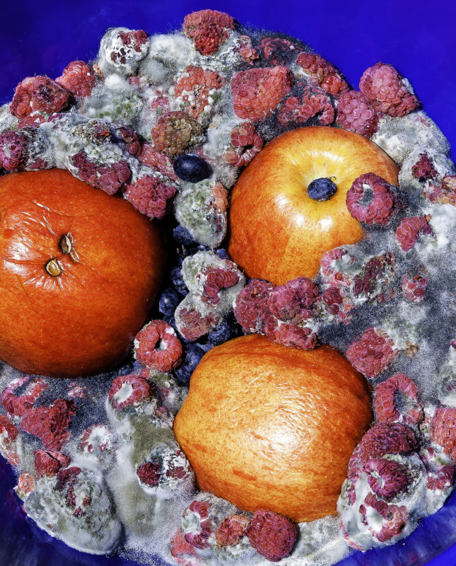 Food Waste. Fruit rotting in the bowl.